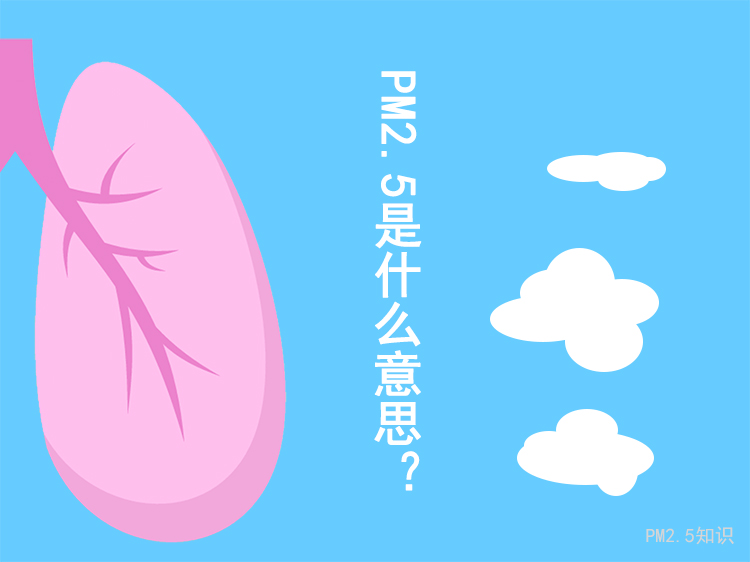 <a href='tech-sensor-11.html' target='_blank'><u><a href='tech-sensor-11.html' target='_blank'><u>PM2.5是什么</u></a>意思</u></a>?PM2.5污染-金年会 金字招牌